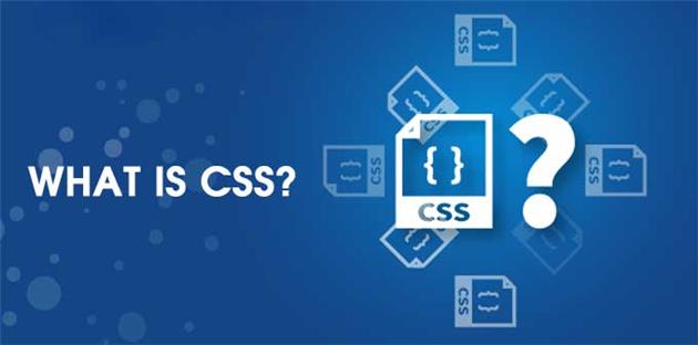 سی اس اس چیست